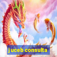 juceb consulta